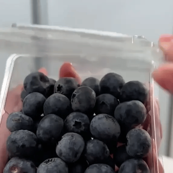 FitMiks Prenosivi Blender